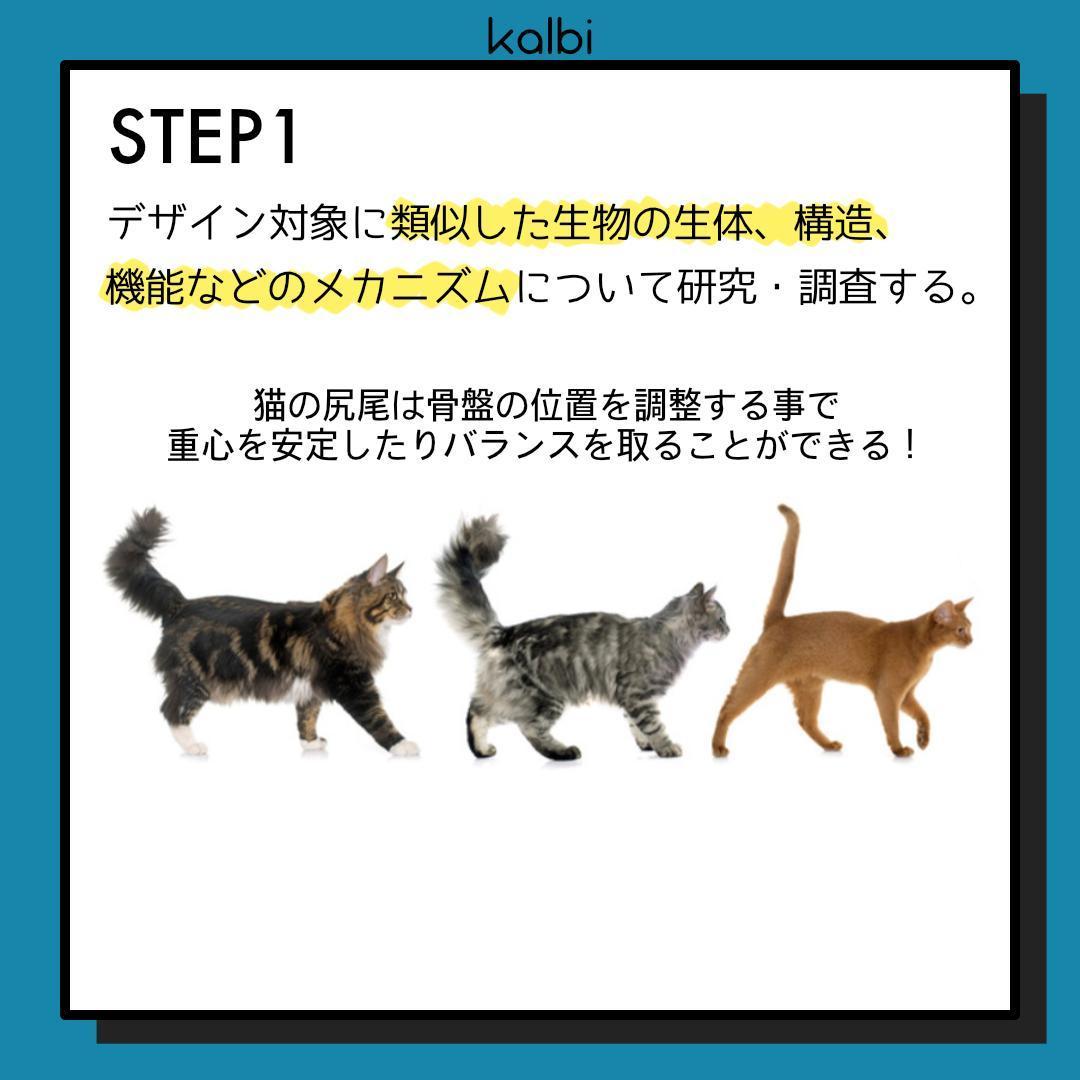 バイオニクス法 - ステップ2